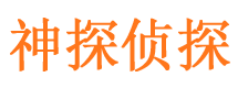 安岳市婚外情调查